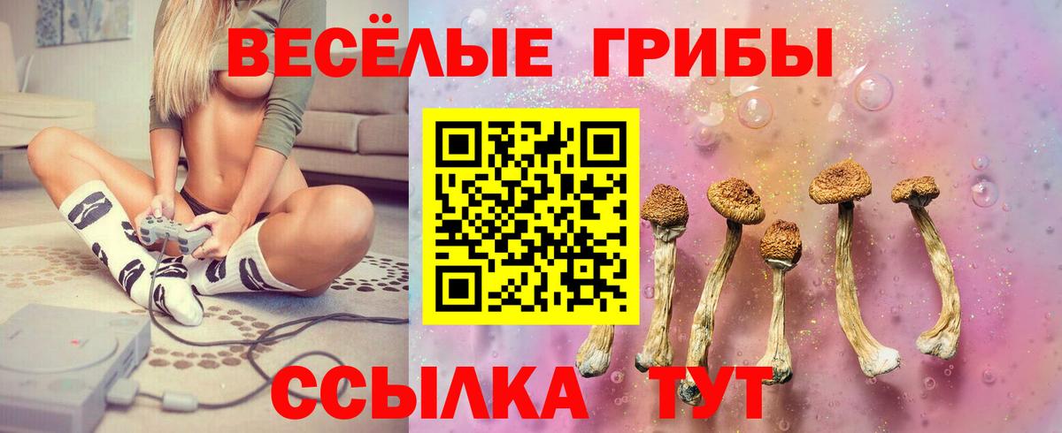 Псилоцибиновые грибы MAGIC MUSHROOMS Лосино-Петровский